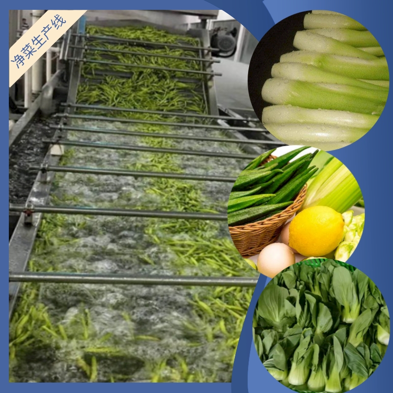 淨菜生産線