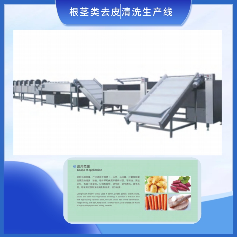 根莖類去皮清洗生産線
