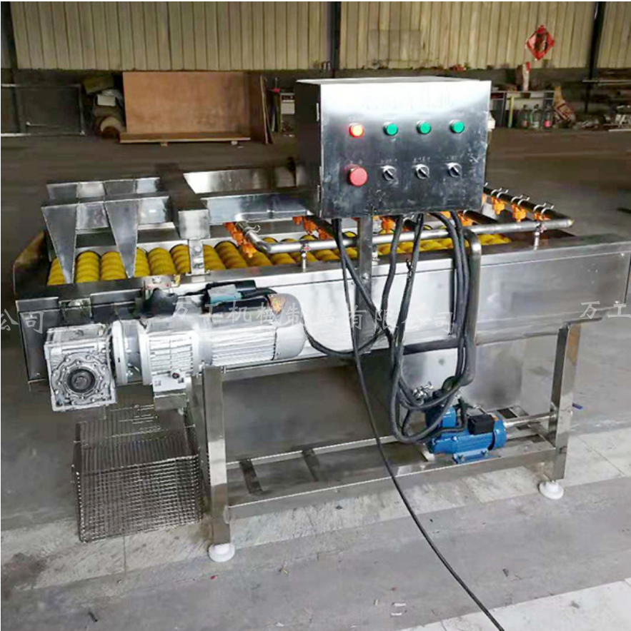 大棗清洗機 專業氣泡清洗設備