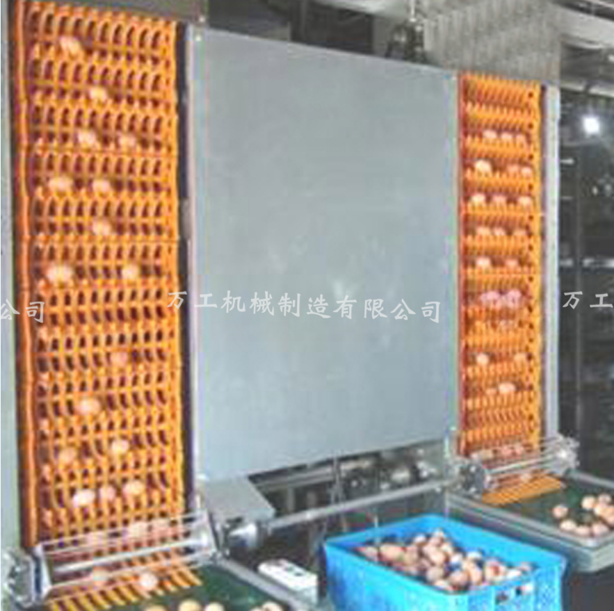 雞鴨蛋蛋類清洗生産線