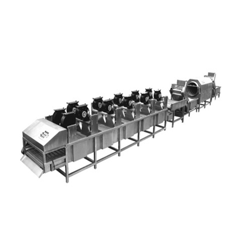 水果清洗風幹生産線 各類水果蔬菜清洗風幹